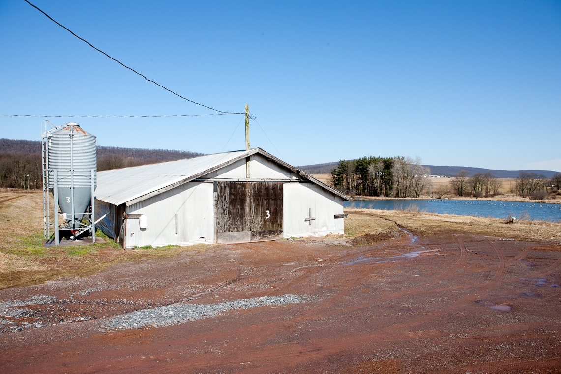 ArgallSelects Image39 / 51