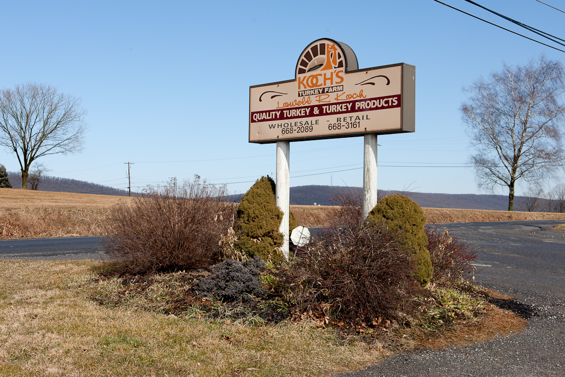 ArgallSelects Image44 / 51
